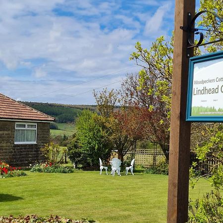 Woodpeckers Cottage Scarborough Exteriér fotografie