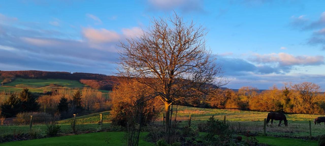 Woodpeckers Cottage Scarborough Exteriér fotografie