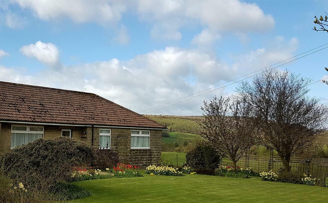 Woodpeckers Cottage Scarborough Exteriér fotografie